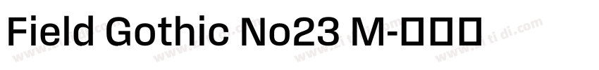 Field Gothic No23 M字体转换 Field Gothic No23 M字体转换
